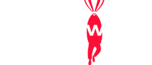 TTR